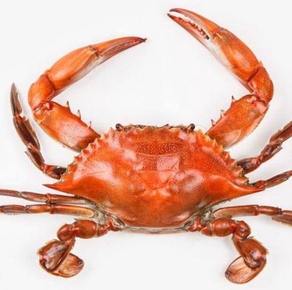 Meet your Posher, Stephanie - Picture 1 of 1